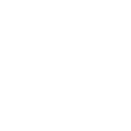 TorahNet Logo